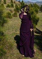 Zarif Ready to Wear Chiffon Saree I Premium Stitched Saree Set with Blouse